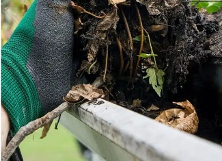 Gutter Cleaning in Ottawa